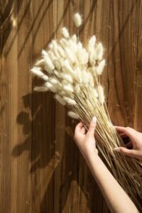 flores naturales preservadas