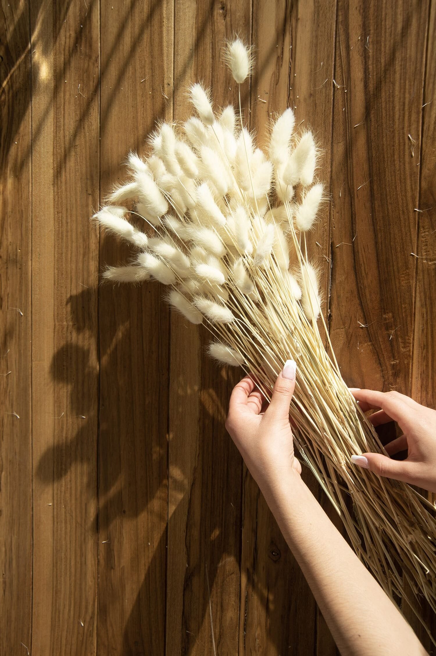 flores naturales preservadas