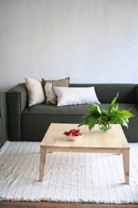mesa ratona cenova